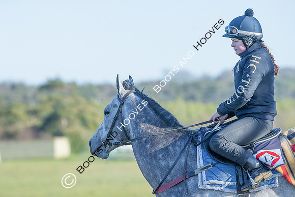 Newmarket Gallops