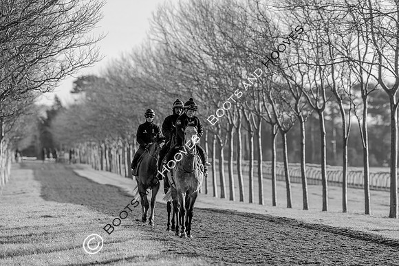 Newmarket Gallops