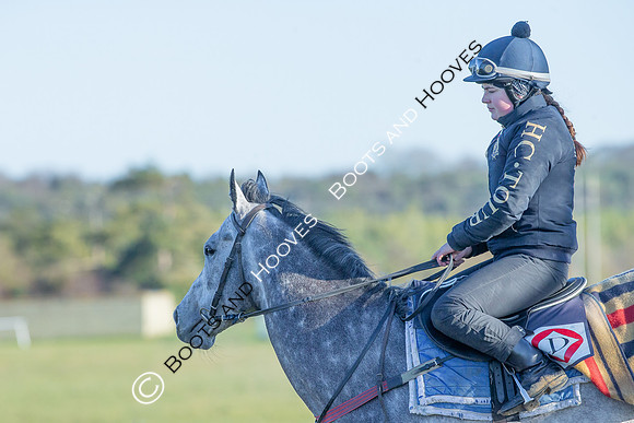 Newmarket Gallops