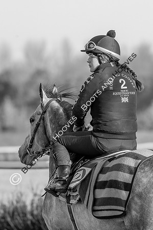 Newmarket Gallops