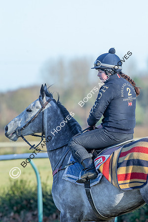 Newmarket Gallops