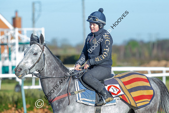 Newmarket Gallops