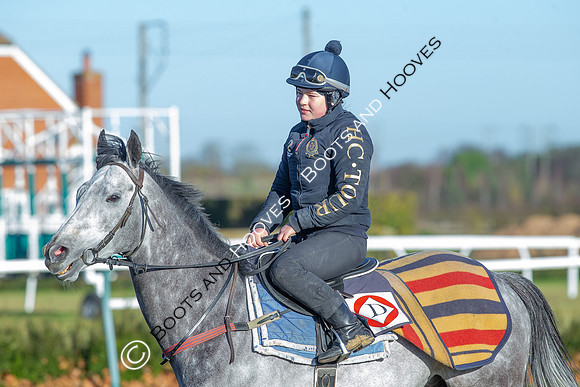 Newmarket Gallops