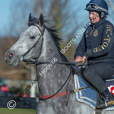 Newmarket Gallops