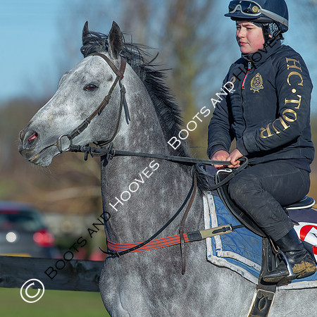 Newmarket Gallops