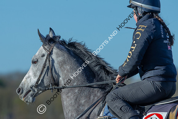 Newmarket Gallops