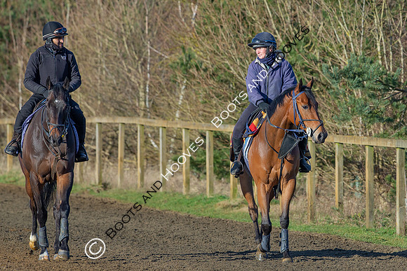 Newmarket Gallops