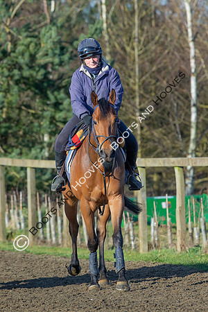 Newmarket Gallops