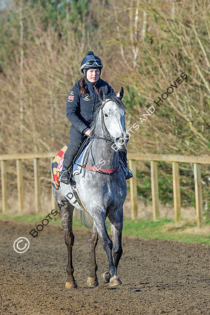 Newmarket Gallops