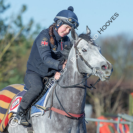 Newmarket Gallops
