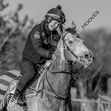 Newmarket Gallops