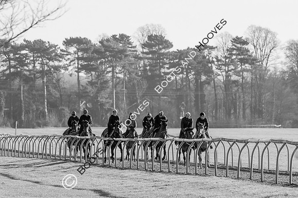 Newmarket Gallops