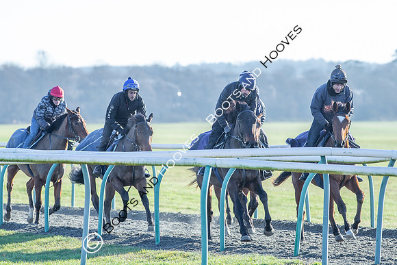Newmarket Gallops