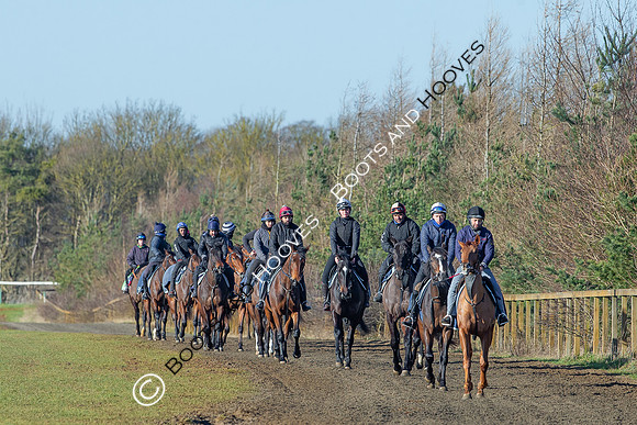 Newmarket Gallops