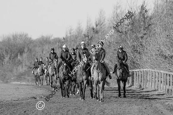 Newmarket Gallops