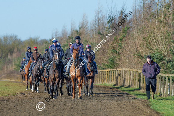 Newmarket Gallops