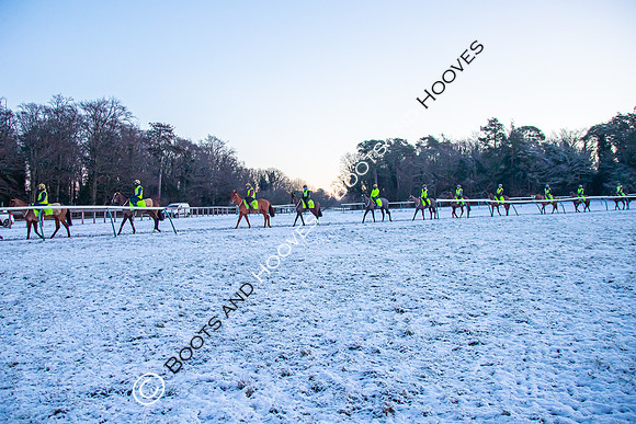 Newmarket Gallops