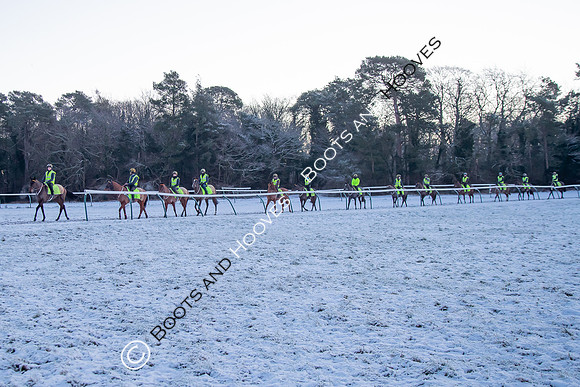 Newmarket Gallops