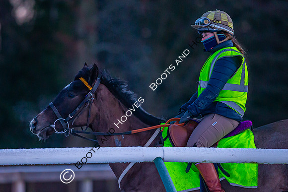 Newmarket Gallops