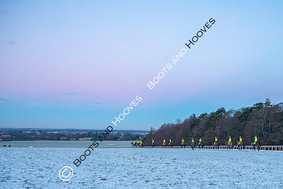 Newmarket Gallops