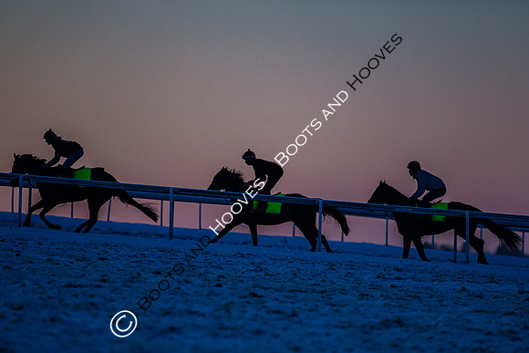 Newmarket Gallops