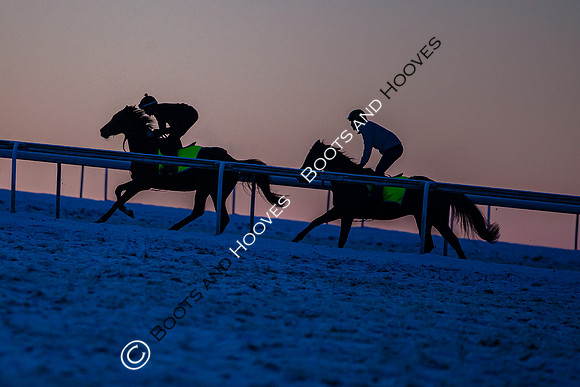 Newmarket Gallops