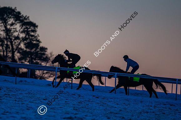 Newmarket Gallops