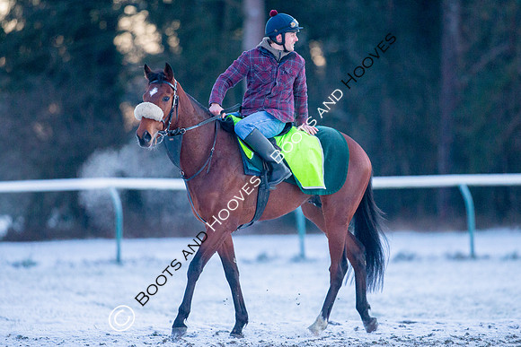 Newmarket Gallops