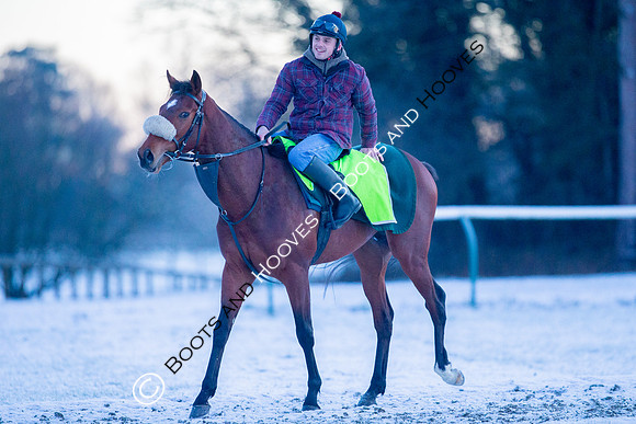 Newmarket Gallops