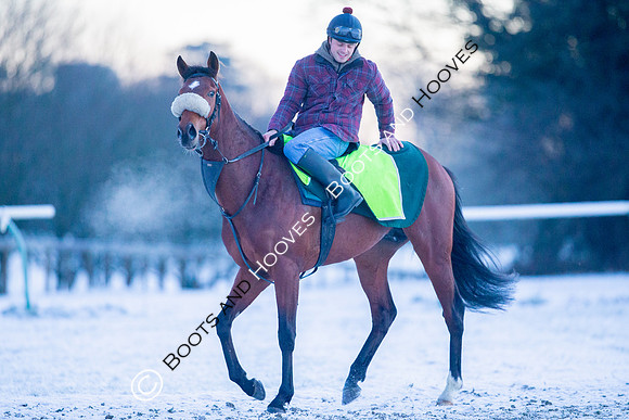 Newmarket Gallops
