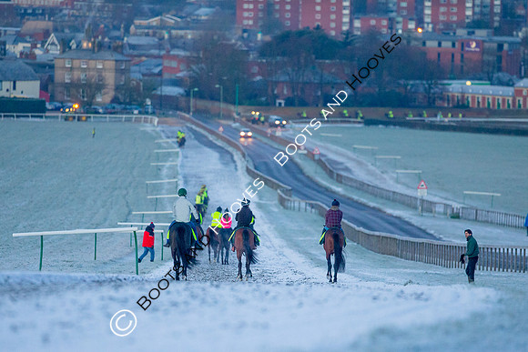 Newmarket Gallops