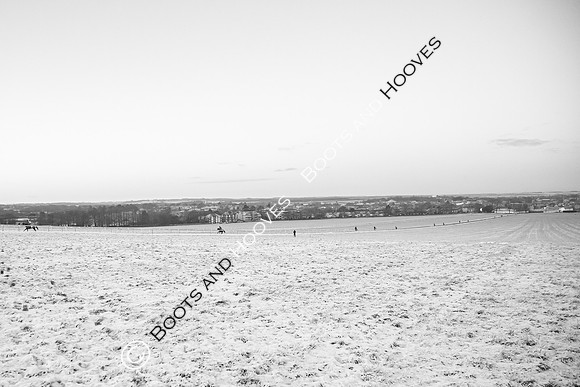 Newmarket Gallops