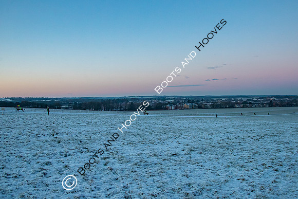 Newmarket Gallops