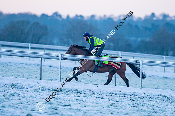 Newmarket Gallops