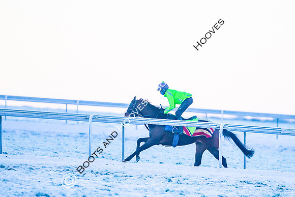 Newmarket Gallops