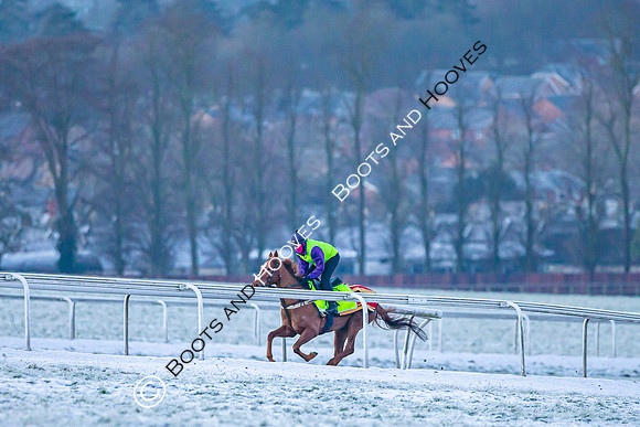 Newmarket Gallops