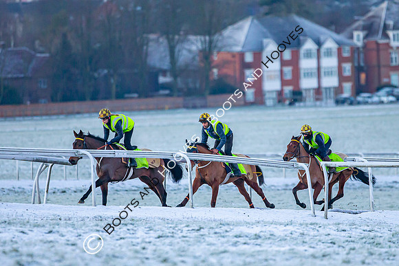 Newmarket Gallops