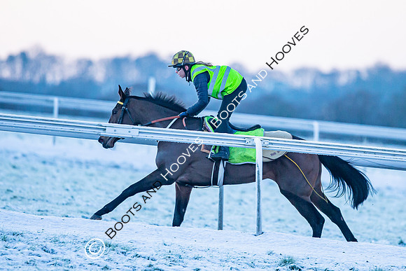 Newmarket Gallops