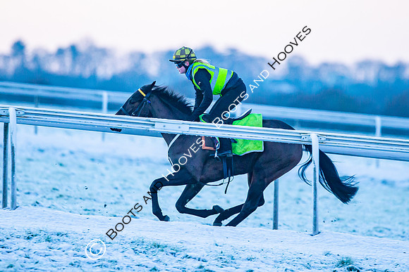Newmarket Gallops