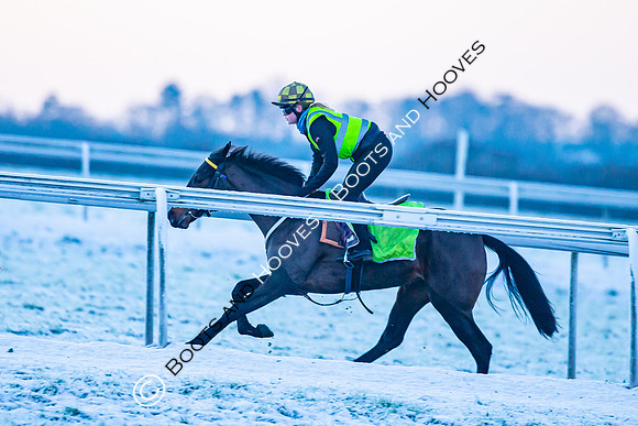 Newmarket Gallops