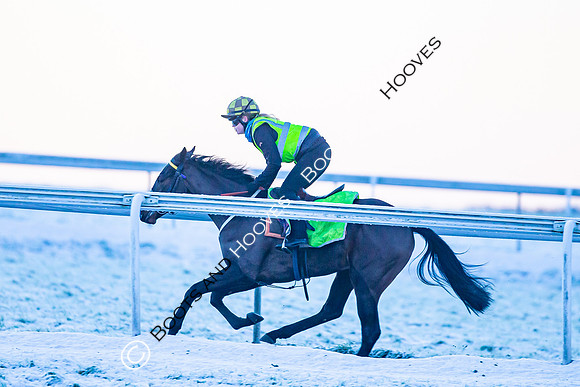 Newmarket Gallops