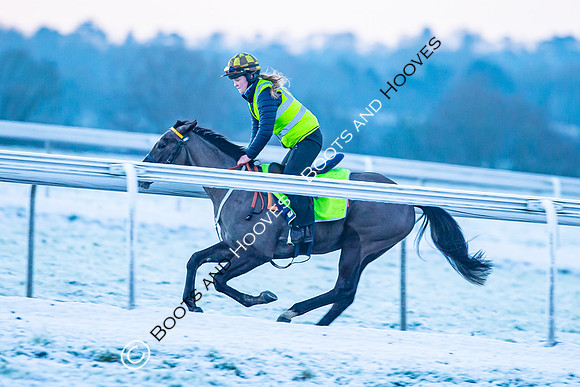 Newmarket Gallops