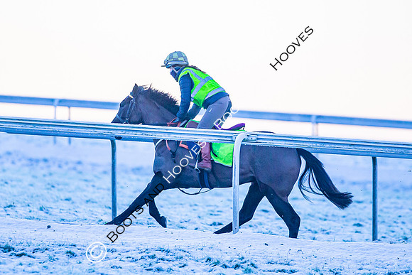 Newmarket Gallops
