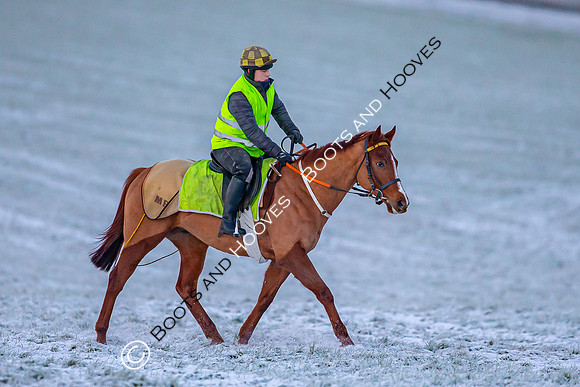 Newmarket Gallops