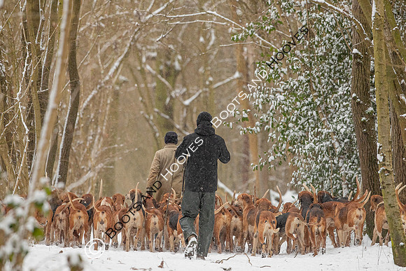 Hound Exercise