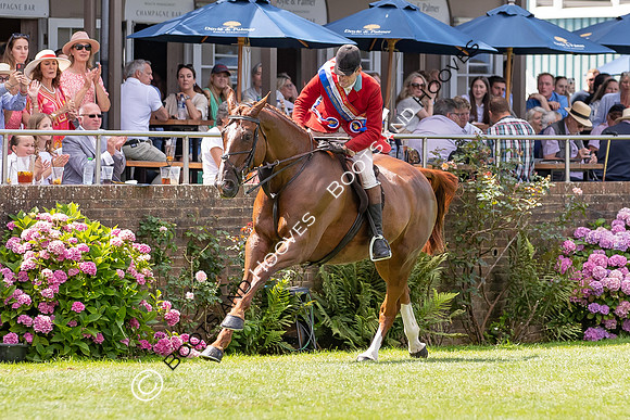 The AGRIA Royal International Horse Show