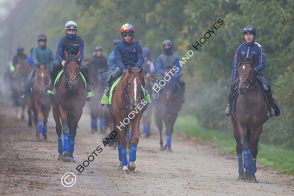 Newmarket