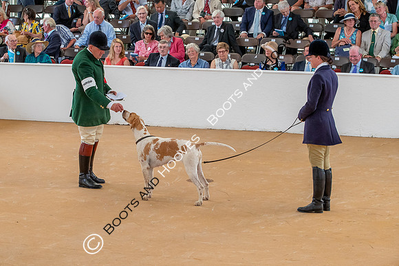 Festival of Hunting