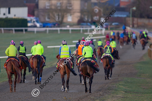 Newmarket Gallops