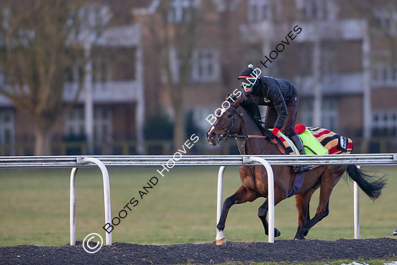Newmarket Gallops